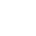 000000003339