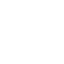 000000003381