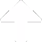 00000001F925