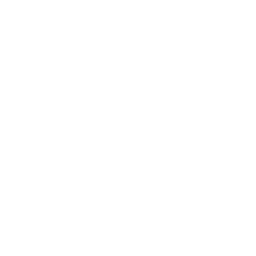 000000020AFA